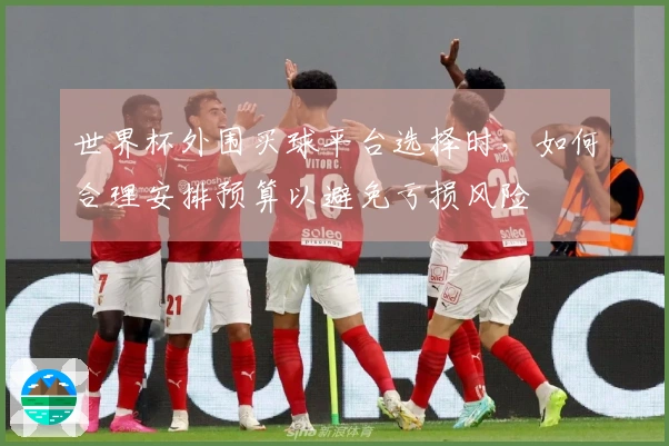 世界杯外围买球平台选择时，如何合理安排预算以避免亏损风险