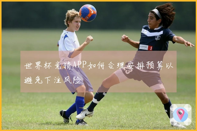 世界杯竞猜APP如何合理安排预算以避免下注风险