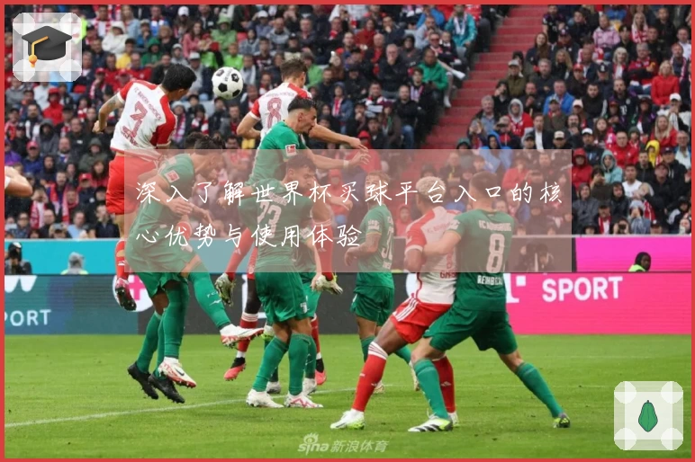 深入了解世界杯买球平台入口的核心优势与使用体验