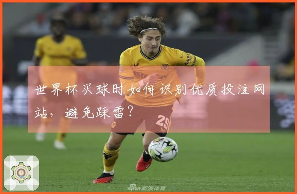 世界杯买球时如何识别优质投注网站，避免踩雷？