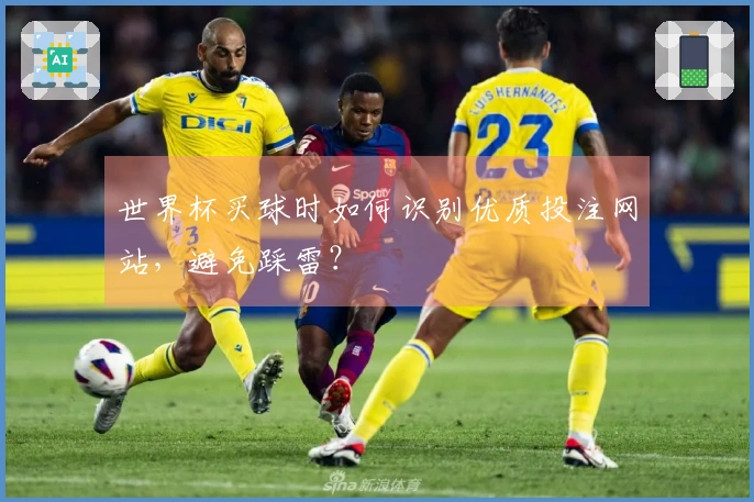 世界杯买球时如何识别优质投注网站,避免踩雷?