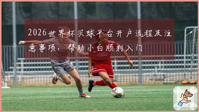2026世界杯买球平台开户流程及注意事项，帮助小白顺利入门