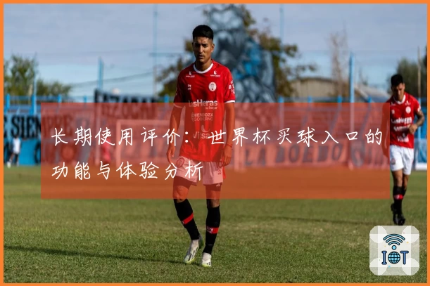 长期使用评价：世界杯买球入口的功能与体验分析
