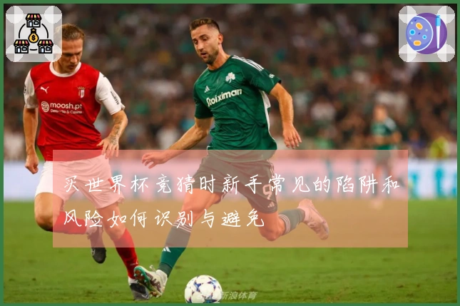 买世界杯竞猜时新手常见的陷阱和风险如何识别与避免