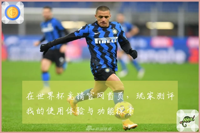 在世界杯竞猜官网首页，玩家测评我的使用体验与功能探索