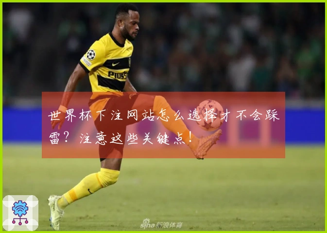 世界杯下注网站怎么选择才不会踩雷?注意这些关键点!