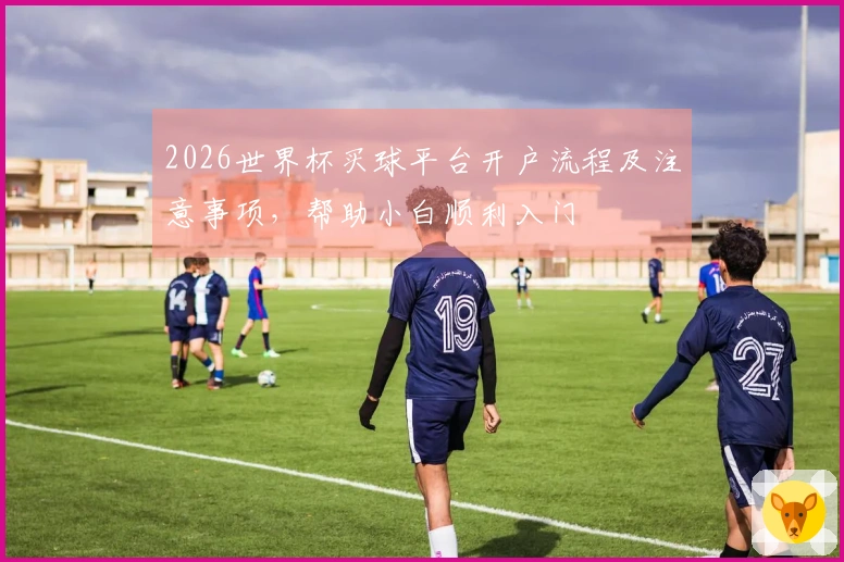 2026世界杯买球平台开户流程及注意事项,帮助小白顺利入门