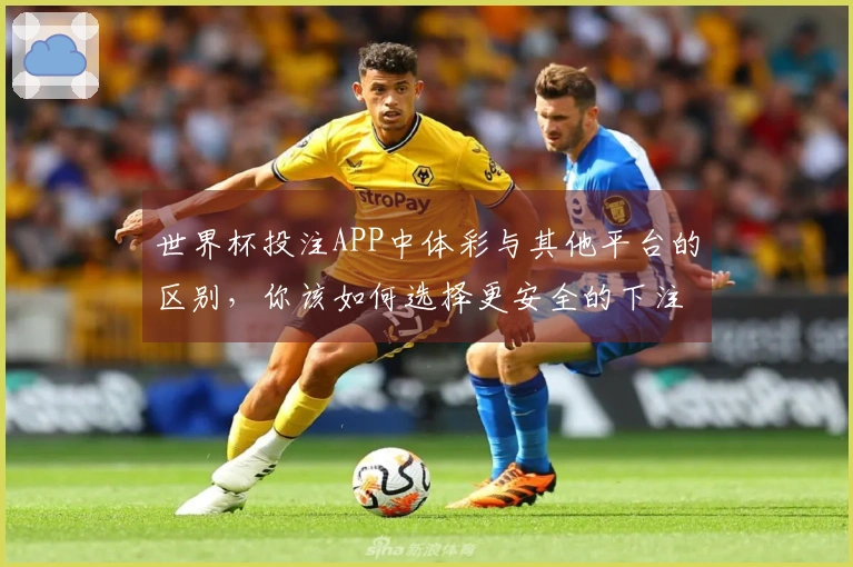 世界杯投注APP中体彩与其他平台的区别,你该如何选择更安全的下注渠道?