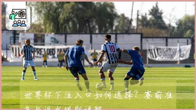 世界杯下注入口如何选择?赛前准备与返水规则详解
