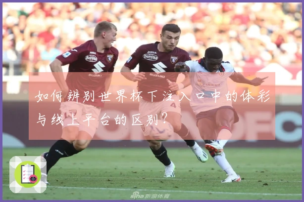如何辨别世界杯下注入口中的体彩与线上平台的区别？