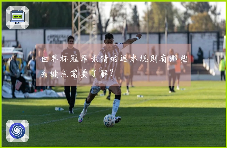 世界杯冠军竞猜的返水规则有哪些关键点需要了解？