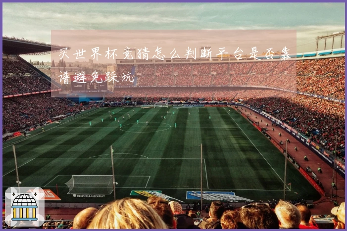 买世界杯竞猜怎么判断平台是否靠谱避免踩坑