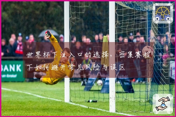 世界杯下注入口的选择,密集赛程下如何避开常见风险与误区