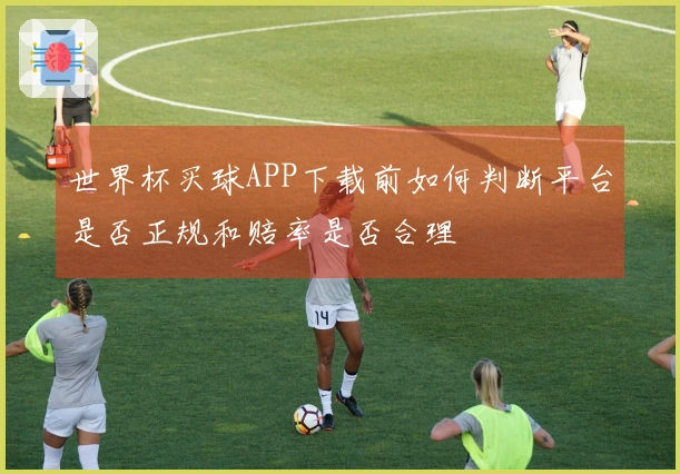 世界杯买球APP下载前如何判断平台是否正规和赔率是否合理