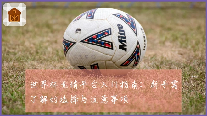 世界杯竞猜平台入门指南:新手需了解的选择与注意事项