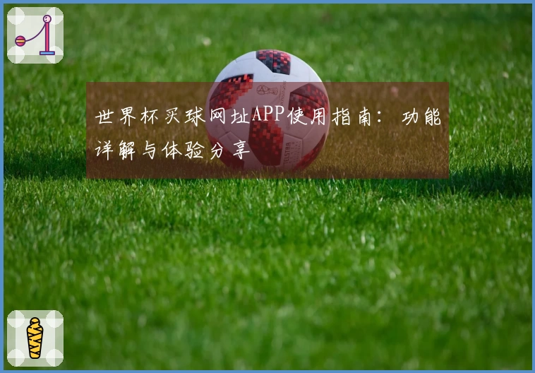 世界杯买球网址APP使用指南：功能详解与体验分享