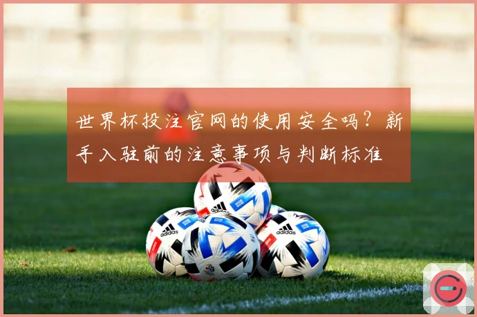 世界杯投注官网的使用安全吗？新手入驻前的注意事项与判断标准