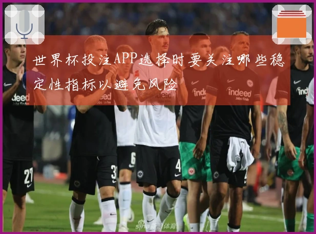 世界杯投注APP选择时要关注哪些稳定性指标以避免风险