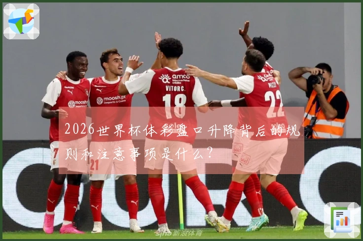 2026世界杯体彩盘口升降背后的规则和注意事项是什么？