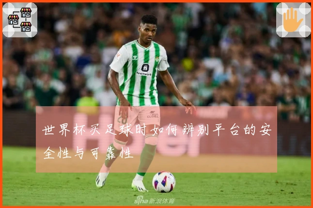 世界杯买足球时如何辨别平台的安全性与可靠性